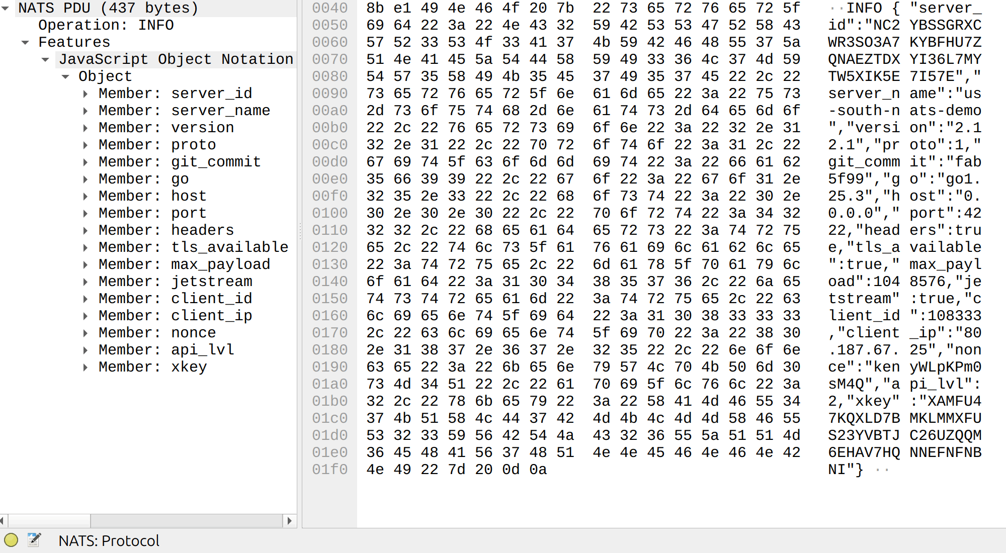 INFO and CONNECT options are now dissected as JSON
